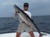 50lb-wahoo