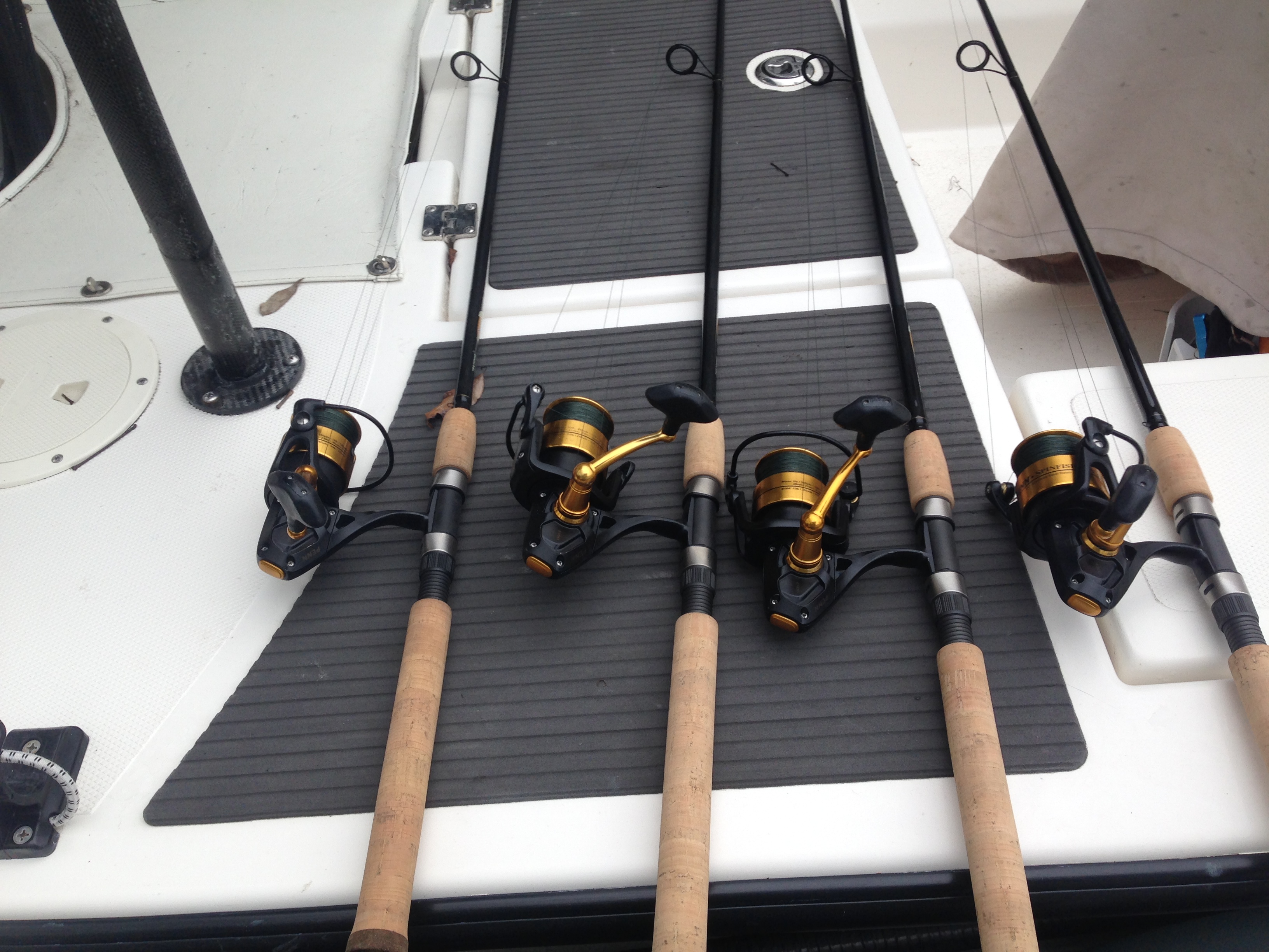 Light Tackle Spinning Gear Hiton Head Fishing Adventures