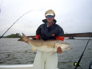 Bull Redfish