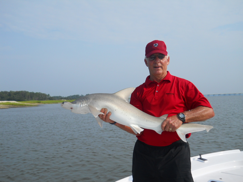 Fish Tails- Bonnet Head Sharks, Summer Shark Fishing