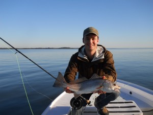 Redfish on Fly