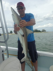 shark charters