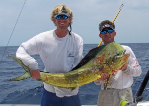hilton head fishing charters - bull dolphin
