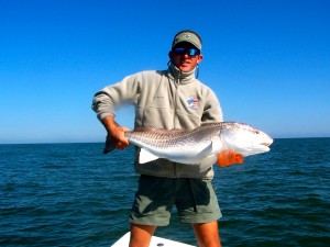 nearshore wreck fishing charters - bull redfish