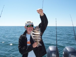 hilton head sheepshead charters