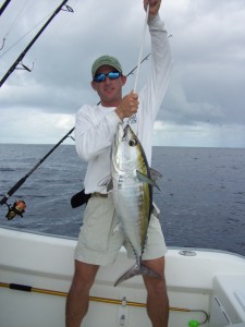 Blackfin Tuna on Bait Ball - Offshore Sight Fishing