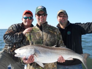 Inshore Bull Redfish