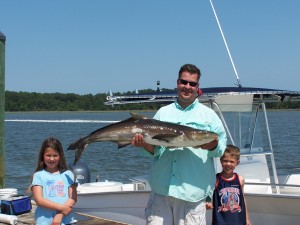 Hilton Head, SC Cobia