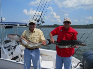 Hilton Head Cobia Fishing