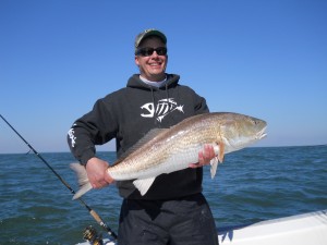 Hilton Head Bull Redfish