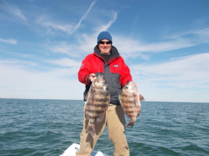 Hilton Head Sheepshead