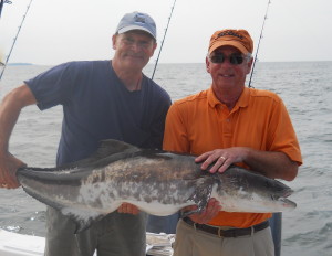 Hilton Head Cobia Fishing