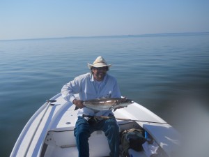 fly fishing for cobia