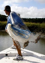 cast net basics