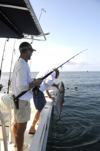 amberjack