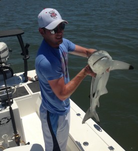 hilton head shark fishing