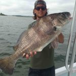 Hilton Head Black Drum