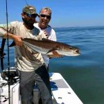 hilton head cobia