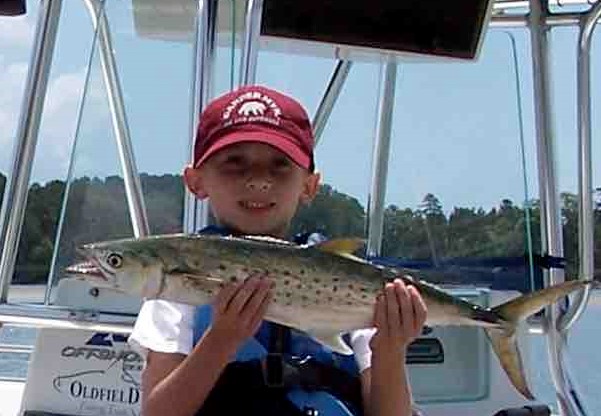 hilton head mackerel